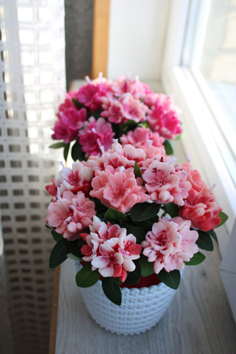 Ābeļziedu sveču pušķi - pieejamie